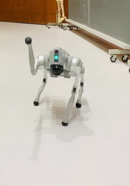 Go2, Roboter-Hund
