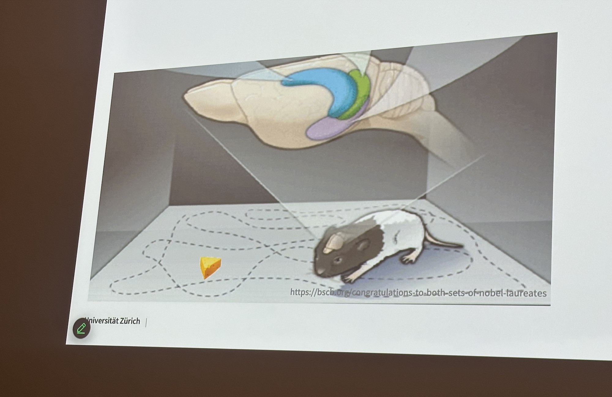 Bild aus der Vorlesung «Macht uns das Navi dumm?»