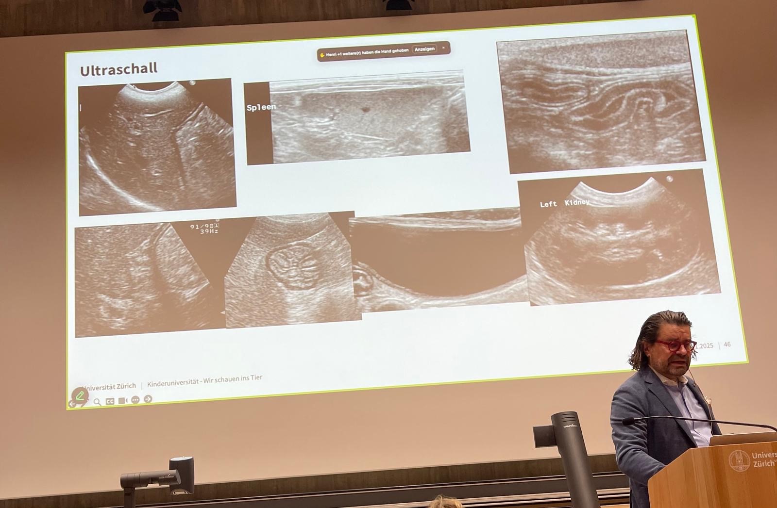 Bild aus der Vorlesung «Wir schauen ins Tier»