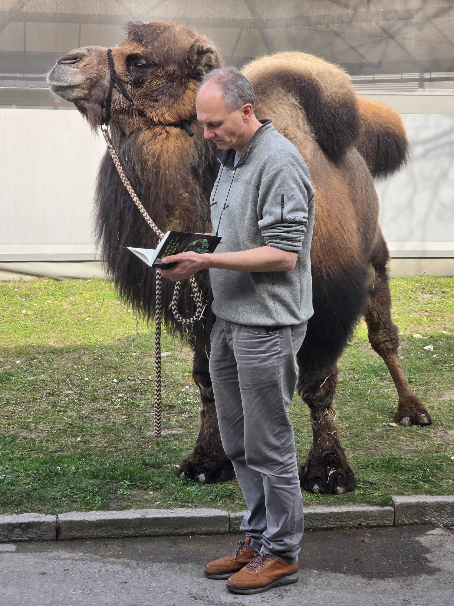 Prof. Dr. Marcus Clauss, Veterinärmediziner und Co-Direktor der Zootierklinik, UZH